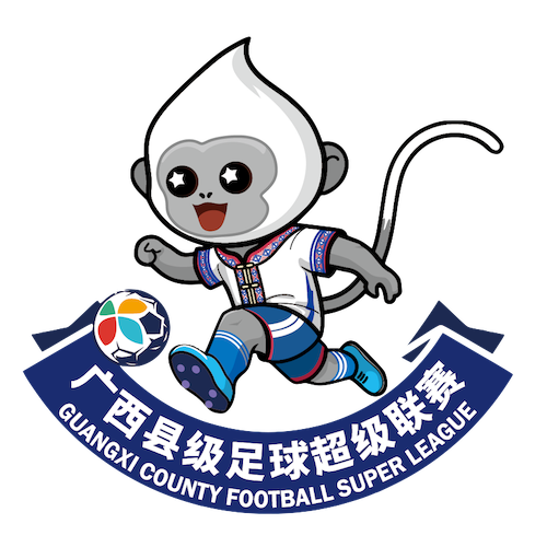 广西县超 来宾市兴宾区队4-1桂林市灵川县队20260412