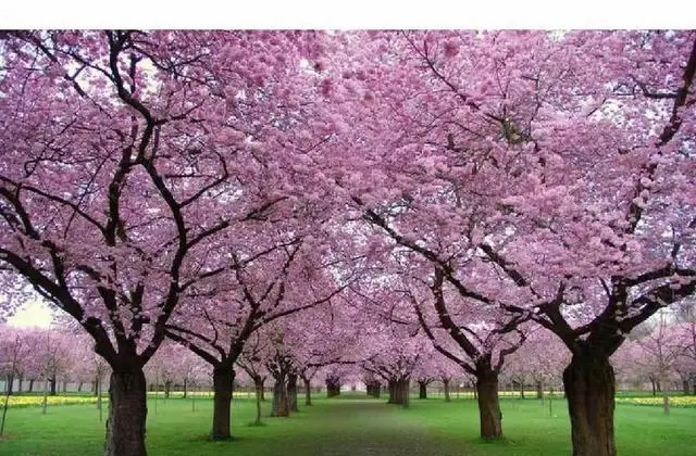 岳雨婷公开短剧床戏拍摄卫生隐患引发行业关注：细节速览