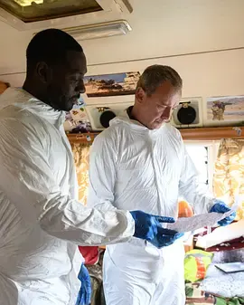 格雷斯第六季：封面