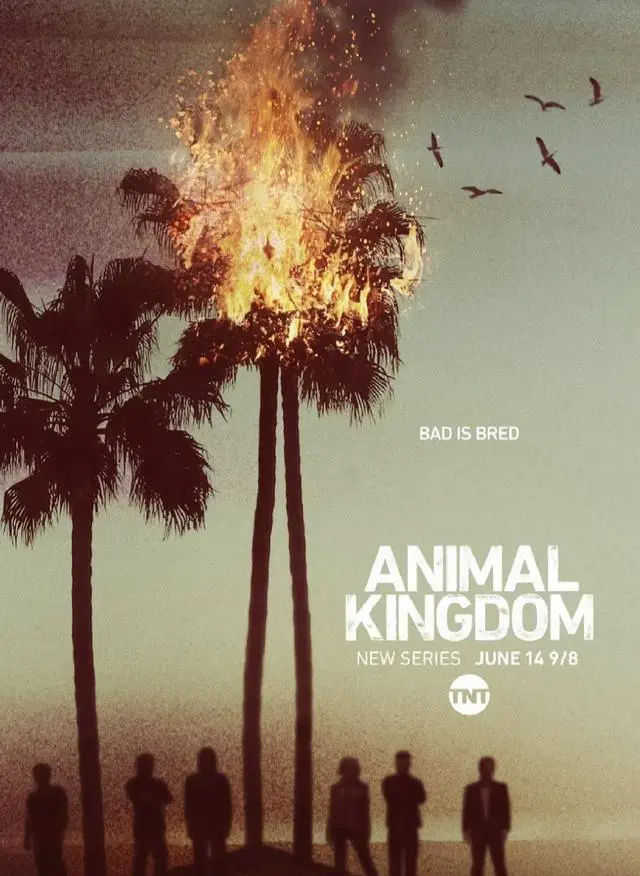 《黑鸟》《野兽家族》《亢奋》特别篇成近期高分美剧关注焦点：情报图