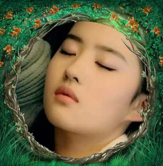 刘亦菲《玫瑰的故事》豆瓣8.5分，演绎黄亦玫20至40岁女性成长轨迹：细节速览