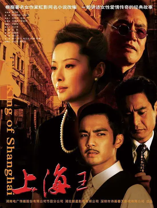 《上海王2008[电影解说]》全集高清完整版在线观看与剧情解析