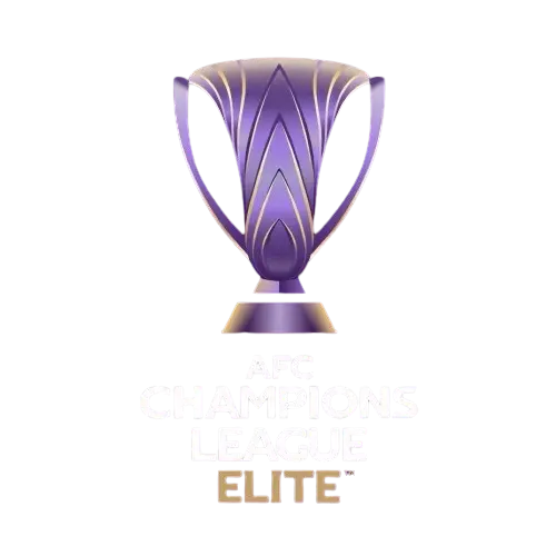 亚冠精英赛 川崎前锋vs中央海岸水手20250218