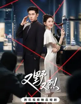 《又野又烈》全集高清完整版在线观看与剧情解析