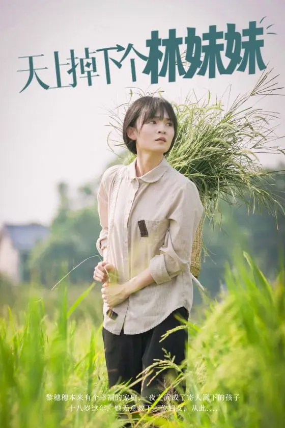 《天上掉下个林妹妹》全集高清完整版在线观看与剧情解析