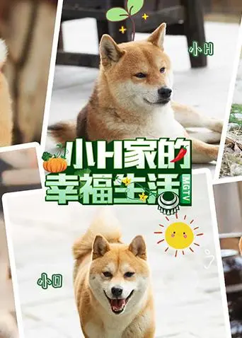 《小H家的幸福生活》全集高清完整版在线观看与剧情解析