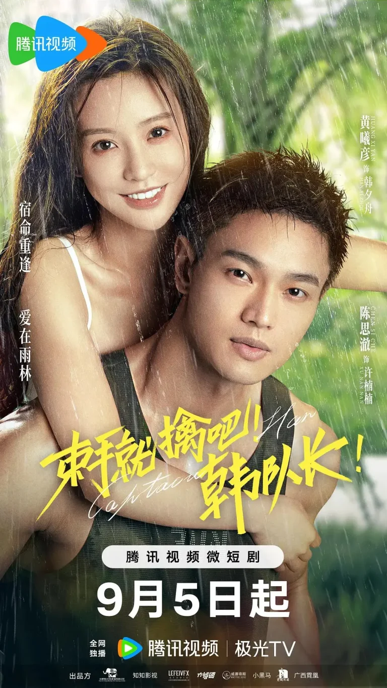 《束手就擒吧!韩队长!》全集高清完整版在线观看与剧情解析