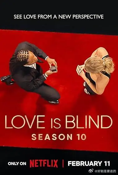《爱情盲选第十季》全集高清完整版在线观看与剧情解析