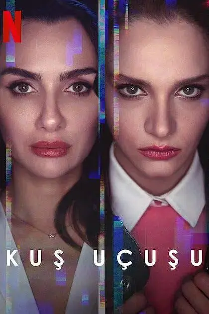 《直线篡位第二季》全集高清完整版在线观看与剧情解析