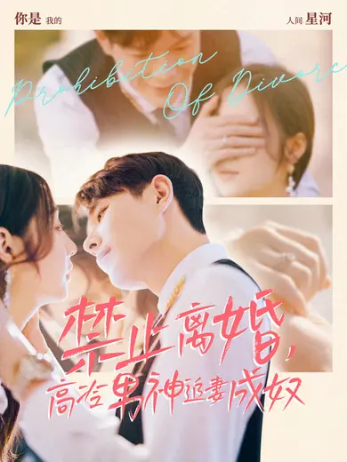 《禁止离婚，高冷男神追妻成奴》全集高清完整版在线观看与剧情解析