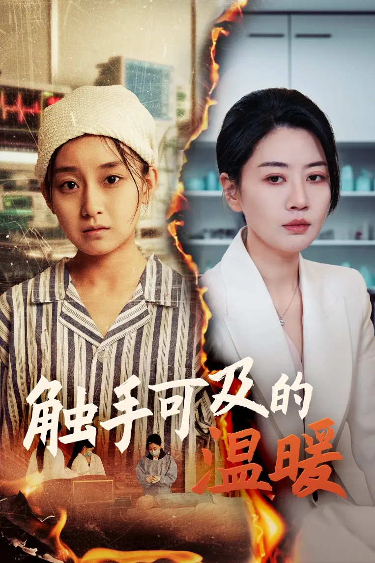 《触手可及的温暖》全集高清完整版在线观看与剧情解析