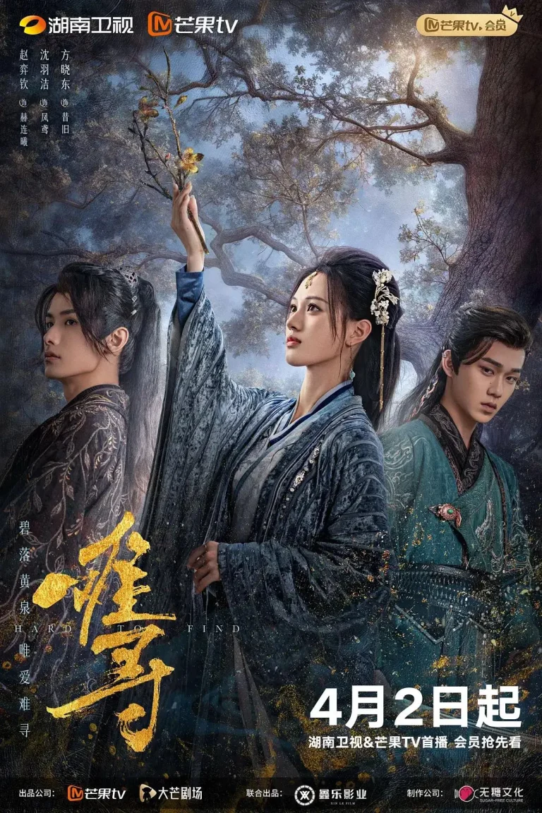 《难寻2024》全集高清完整版在线观看与剧情解析