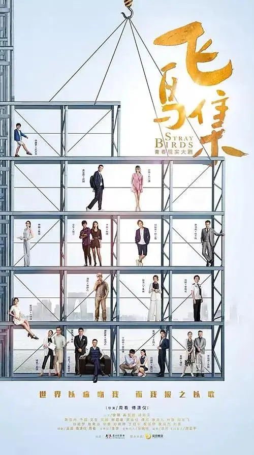 《飞鸟集》全集高清完整版在线观看与剧情解析